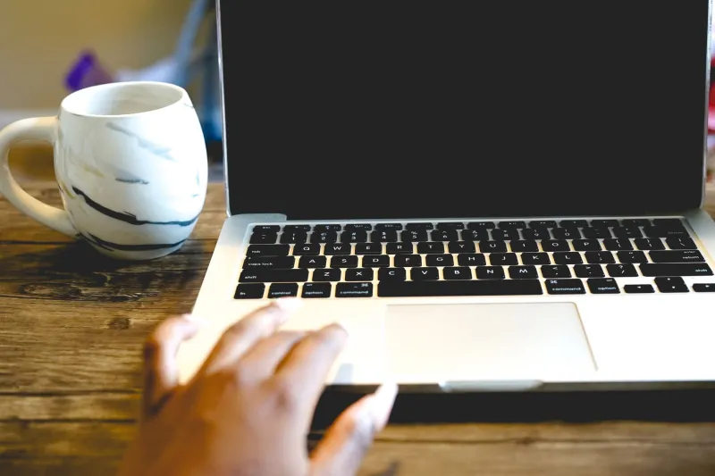 Screaming Into the Void (With Perfect Grammar): A Field Guide to Internet Comment Section Behavior